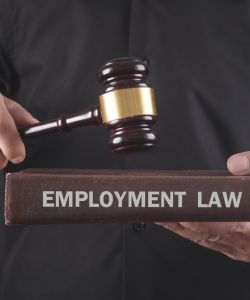 Employment Lawyer